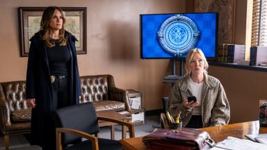 La Ley y el Orden: Unidad de Víctimas Especiales 26x9