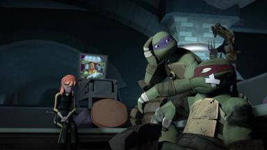 Las Tortugas Ninja 4x22