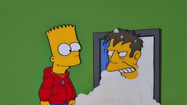 Los Simpson 12x8