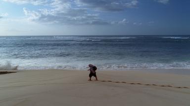 Lost 1x18