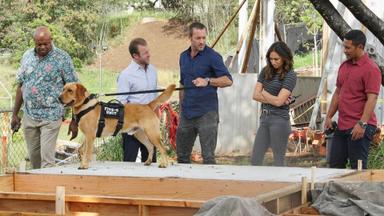 Hawaii Five-0 8x16