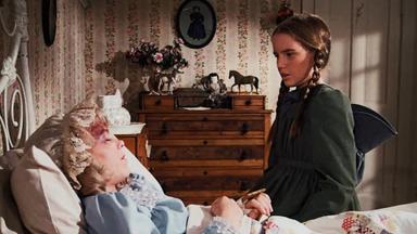 La familia Ingalls 3x2