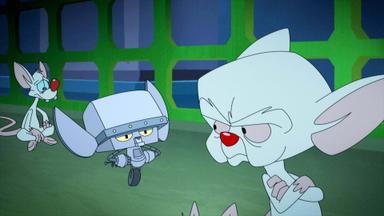Animaniacs 1x12