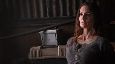 Colony 3x5