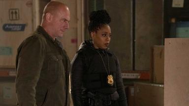 La ley y el orden: crimen organizado 2x18