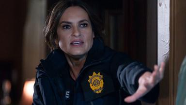 La Ley y el Orden: Unidad de Víctimas Especiales 26x20