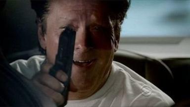 Hawaii Five-0 4x14