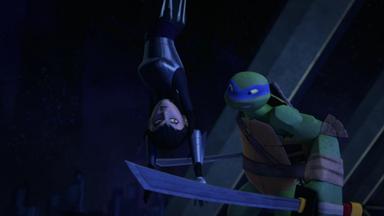Las Tortugas Ninja 4x17