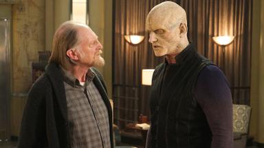 The Strain 3x8