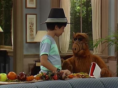 ALF 3x7