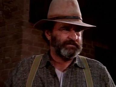 La familia Ingalls 8x19