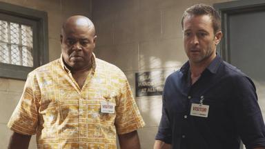 Hawaii Five-0 9x15