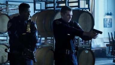 La ley y el orden: crimen organizado 5x4