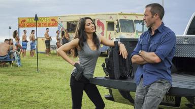 Hawaii Five-0 8x20