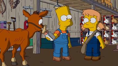Los Simpson 19x17