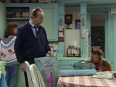 ALF 2x4