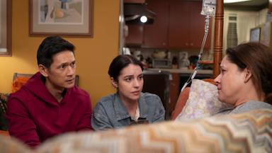 Anatomía según Grey 22x5