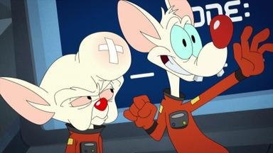 Animaniacs 2x31