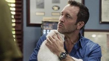 Hawaii Five-0 9x21