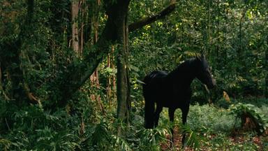 Lost 2x9