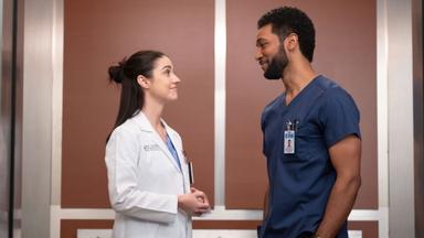 Anatomía según Grey 22x14