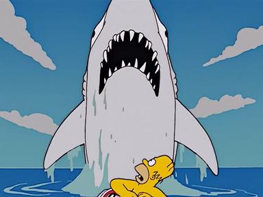 Los Simpson 14x19