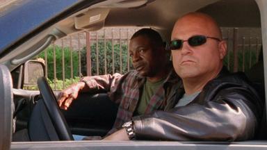 El Escudo 2x3