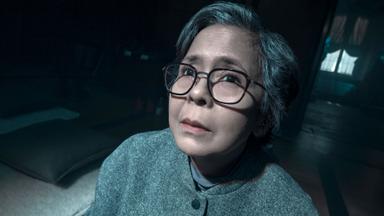 Nueve perfectos desconocidos 2x3