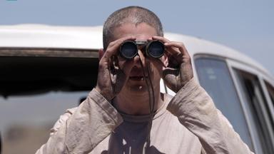 Prison Break 5x6