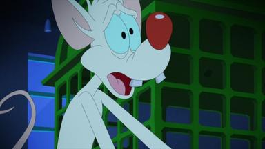 Animaniacs 2x24