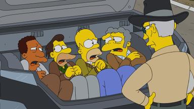 Los Simpson 35x15