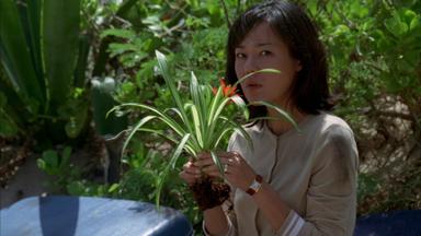 Lost 1x6