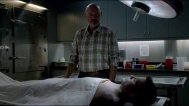 Hawaii Five-0 4x5