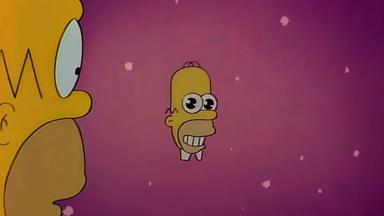 Los Simpson 8x22