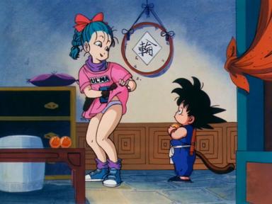 Dragon Ball 1x1