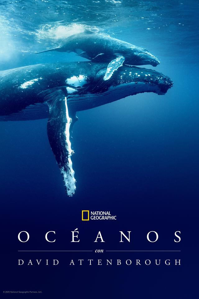 Océanos con David Attenborough