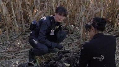 Bones 6x12