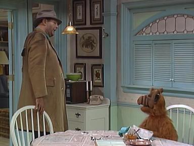 ALF 3x8