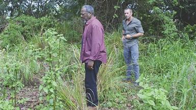 Hawaii Five-0 8x19