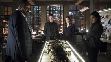 Flash 1x19