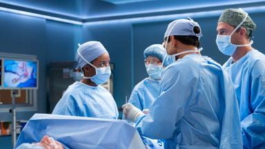 Anatomía según Grey 21x3