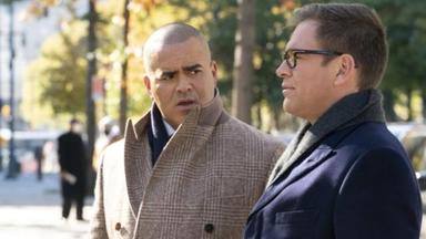 Bull 6x9