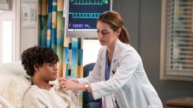 Anatomía según Grey 21x12