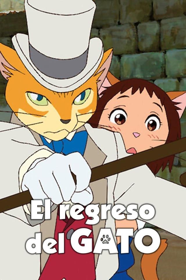 El regreso del gato