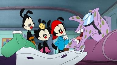 Animaniacs 1x40