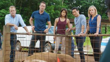 Hawaii Five-0 6x9