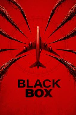 Black Box (Flight 298)